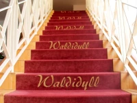 Hotel Waldidyll 3*