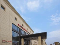 Suisse Place Li Gong Ti 