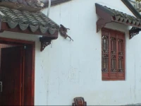 Suzhou Family Little Countyard Daily Rent 