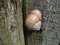 Natur-Aktiv-Hof Thiem