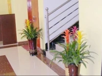 Zijia Hotel Zhengding Modern Town Branch 