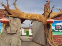 Sha Po Tou Guo Lin Farm Stay 