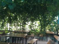 Shapotou Tongjia Inn 
