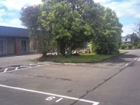Palmerston North Motel 4*