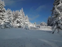 Blockhaus Bodefall 
