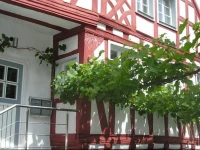 The Old Winery 