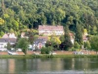 Waldherberge Moselblick 
