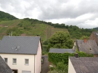 Ferienhaus Mosel Bub 