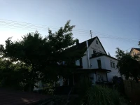 Guesthouse Spies 
