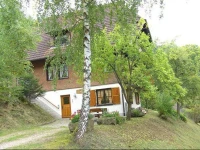 Steinbishof 