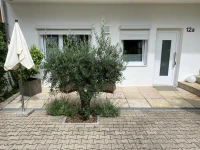 Apartment am Weinberg 