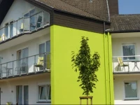 GГ¤stehaus Deidesheim 