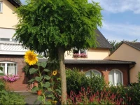 Landhotel garni & Seminarhaus Wiesengrund 