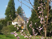Ferienhaus Sperlingsruh 