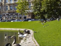 Steigenberger Parkhotel DГјsseldorf 