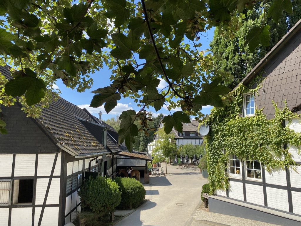 Hotel Gut Moschenhof 