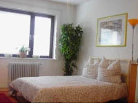Rhein Apartment 
