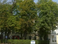 Hotel WeiГџe Taube 