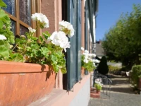 Krone 