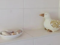 Ferienwohnung Dresden Trachenberge 