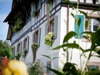 Weingut Alfred Huber 