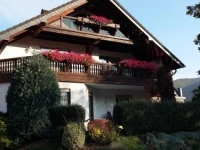Weingut Willi Fett 
