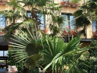 Hotel und Restaurant Bommersheim 