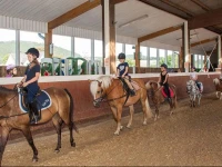 Pony-und Ferienhof Gut Habbecke 