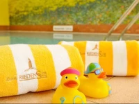Pension Zum Riedensee 