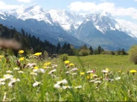 Apartment Zugspitz 
