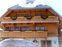 Hotel HГ¶hengasthof GrГјner Baum 