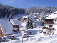 Hotel-Pension KrГ¤utle 