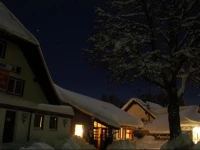 Yellow Hirsch Hotel 