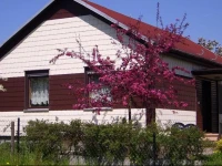 Holiday home Fischbach 1 