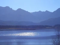 GГ¤stehaus Guggomos "Hopfen am See" 