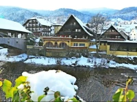 Arthotel Garni Das Waldhaus 