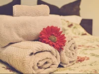 Apartment Mida 