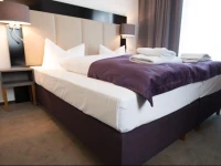 Goethe Business Hotel 