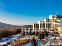 AHORN Berghotel Friedrichroda 