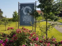 Landgut Apfelrose 