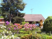 GГјtenbach 