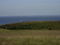 Ferienhaus "Sommerbrise" 