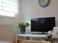 Ferienhaus Jungbludt 