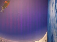 CitySurfer44 