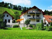 Ferienwohnungen Himmelsbach 