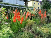 Ferienwohnung Haus Feig 