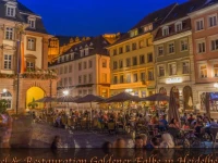 Hotel Goldener Falke 