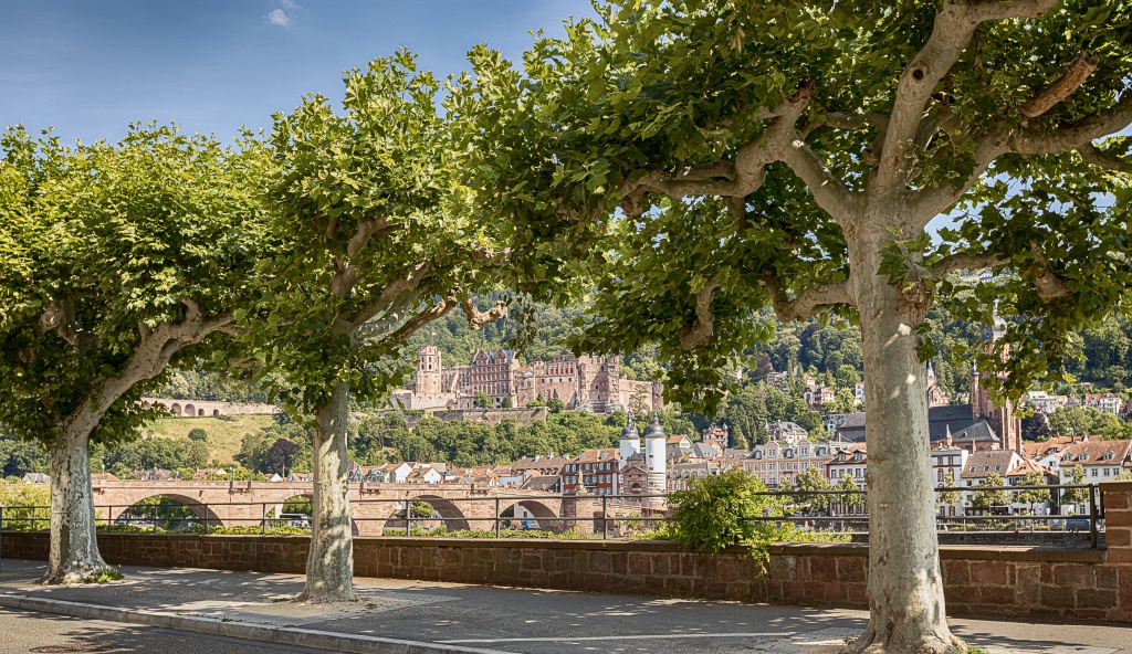 Boutique Hotel Heidelberg Suites 