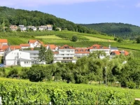 Hotel SГјdpfalz-Terrassen 