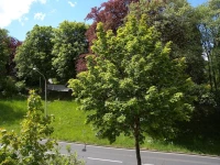 Hostel Goslar 
